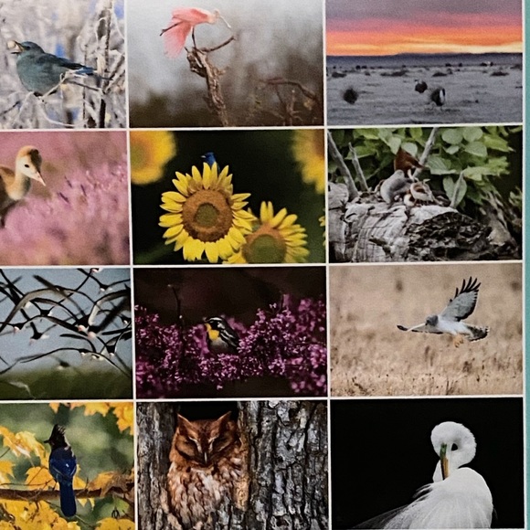 2023 Audubon Society Protecting Birds & Nature Photography 16 Month Calendar - Picture 6 of 8